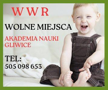WWR – Wczesne Wspomaganie Rozwoju w Akademii Nauki Gliwice